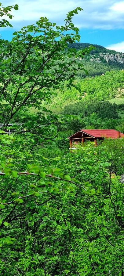 Villa Eskici Staro Myasto Exterior foto